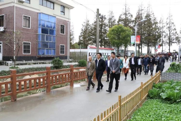 【要闻】因地制宜,踏踏实实,全力推进——书院镇召开"美丽庭院"建设