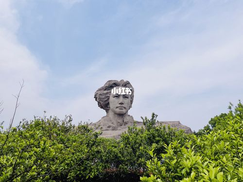 5.2下午_橘子洲_橘子洲头_橘子_景点_长沙橘子洲