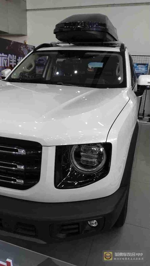 哈弗大狗体验感,外观,内饰,动力总成驾驶感受的报告