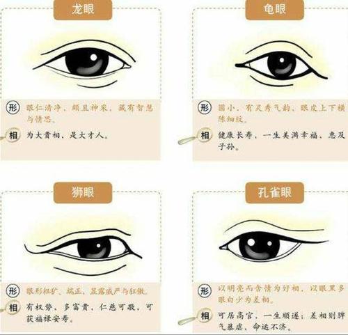 相不独论麻衣神相相眼秘法一见必灵句句泄天机