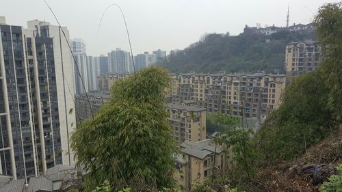 重庆市江北区大石坝街道东原d7区4期东原d7区天气预报