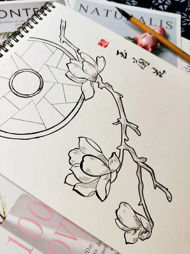 小清新玉兰花黑白手绘古风简笔画手稿