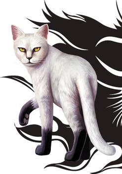 求猫武士的图片(最好写上是那只猫= =偶会分不清……),越多越好!