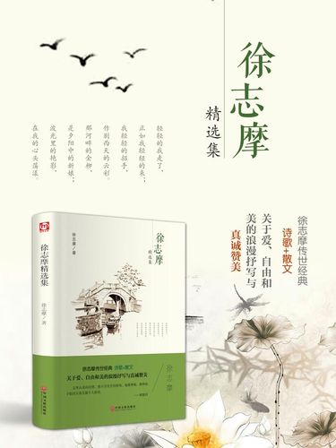 品诗《偶然》作者:徐志摩