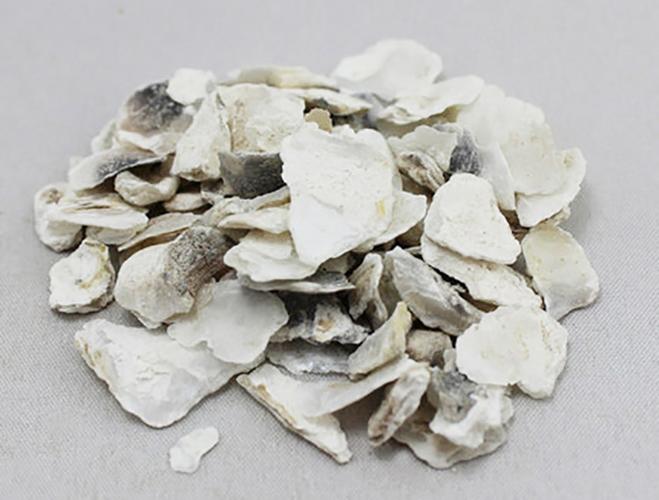 批发供应优质中药材生牡蛎 品质保证