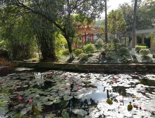 广州市番禺疗养院体检中心