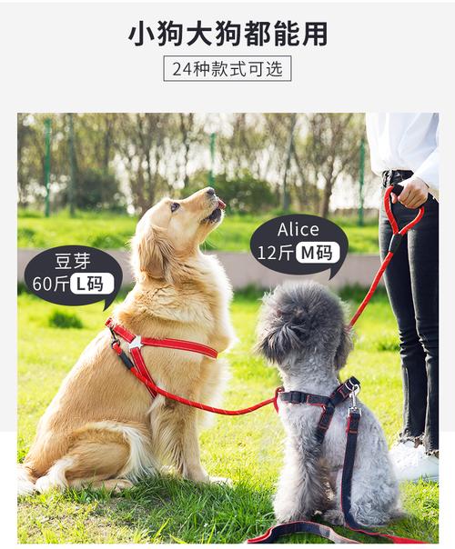 嬉皮狗 狗狗牵引绳狗链子遛狗绳项圈背带幼犬小型中型