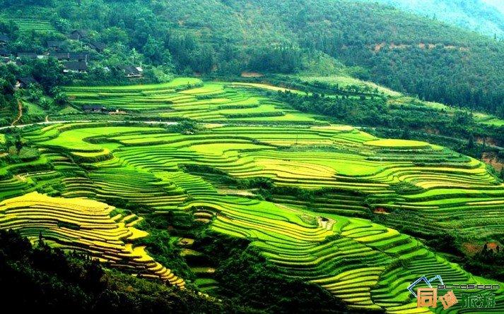 那坡县