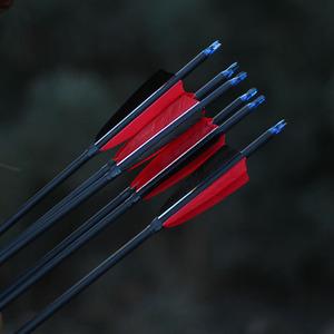 弓箭箭支碳箭射箭竞技运动混碳箭箭支箭头羽毛碳素真羽箭可换箭头