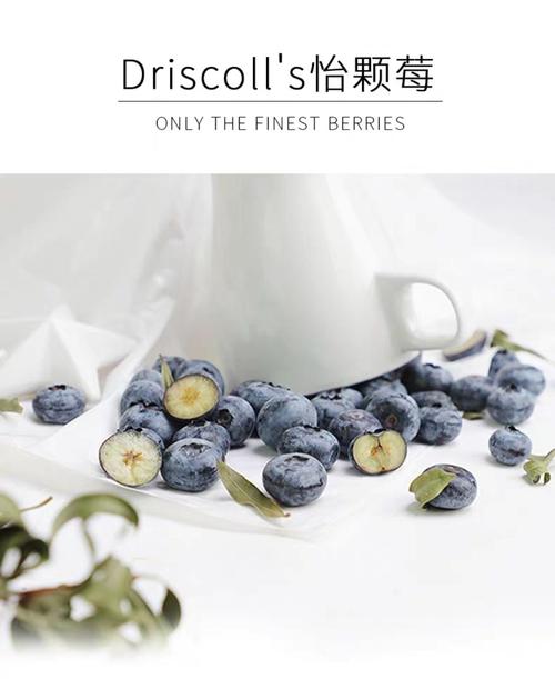 也能享受到高品质的美味浆果 怡颗莓于2013年进入中国 严选产地最终根