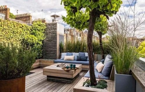 你知道的庭院花坛知识有多少?还不看过来