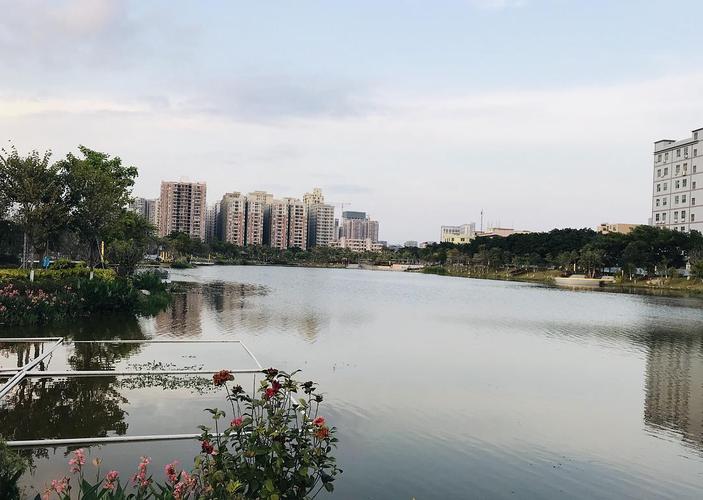 【深圳宝安】万丰湿地公园