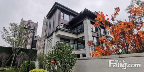 送3车位电梯别墅 有采光井 享团购价 聚龙小镇独门独院别墅