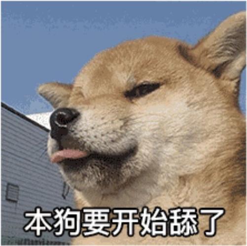 大家有可怜中透着一丝丝搞笑的舔狗语录吗