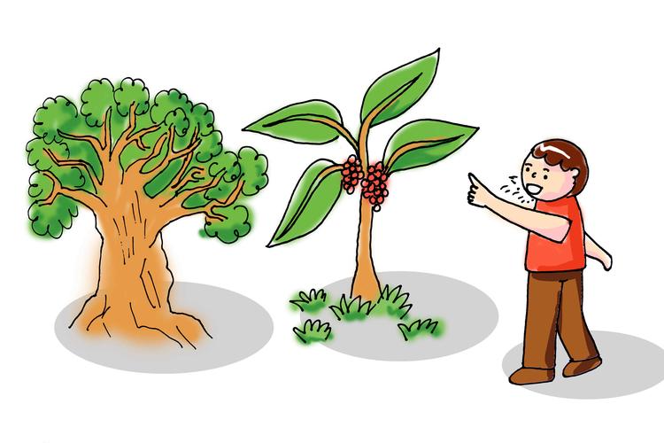 创意配图:指着桑树骂槐树