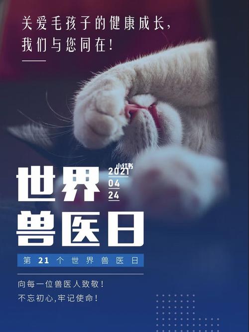 世界兽医日_宠物_宠物_猫