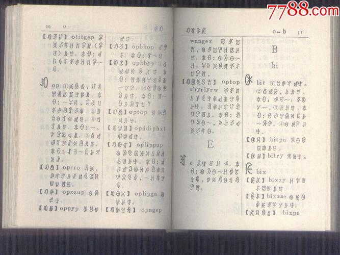 彝文字典.(精装本)