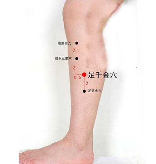 中医健康养生之人体小腿部穴位足千金穴