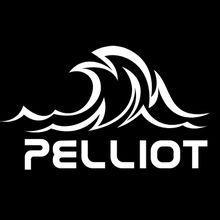 伯希和pelliot