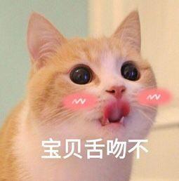 宝贝舌吻不_舌吻_宝贝表情