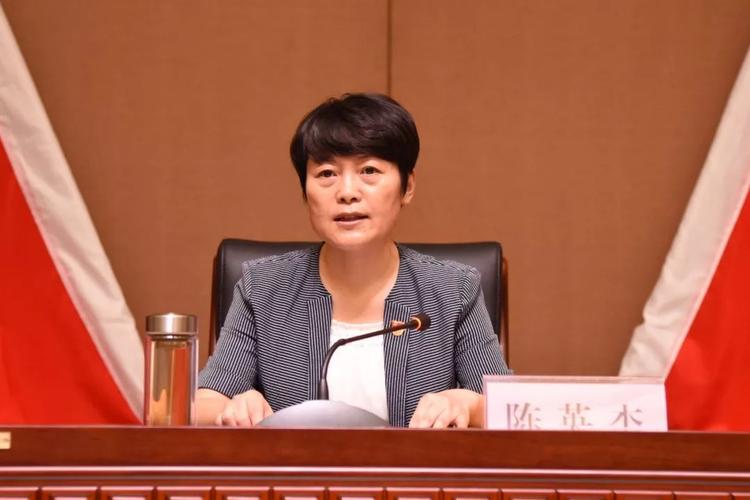市委书记陈英杰在会上讲话