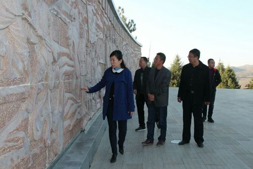 其它 县委常委政府副县长滕云一行到旅游局及景区调研指导工作  子长