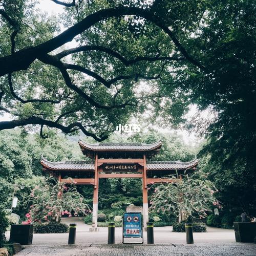 杭州城东皋亭山游玩推荐_游玩_皋亭山攻略_自行车_景点_红薯_发烧