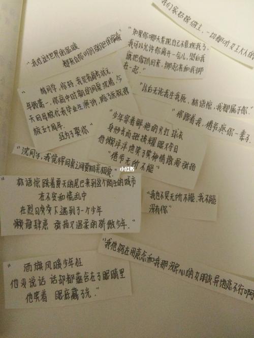 白日梦我文案经典语句