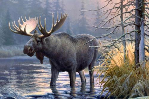 四不像是什么动物呢为什么叫四不像呢