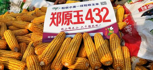 130天一站到底,12174袋订单,郑原玉432火爆阳谷!