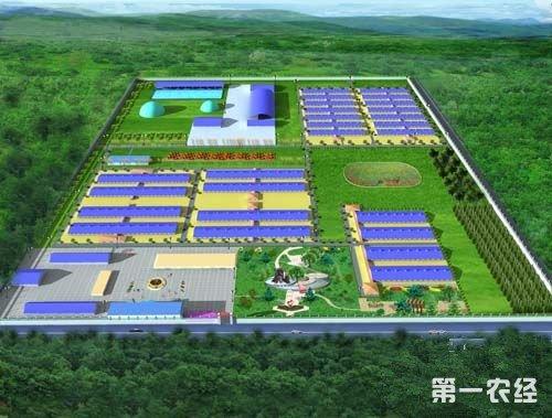 设计养猪场的11个关键点