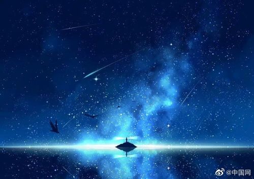 为了见过大海而欢腾着,也为了摘到繁星而追逐着