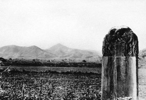 国宝昭陵六骏被盗前的珍贵老照片,如今想看它们要去美国了