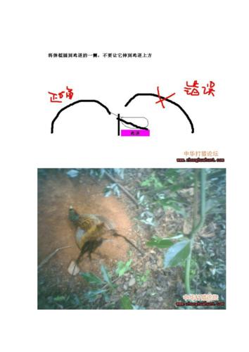 请输入验证码以便正常访问