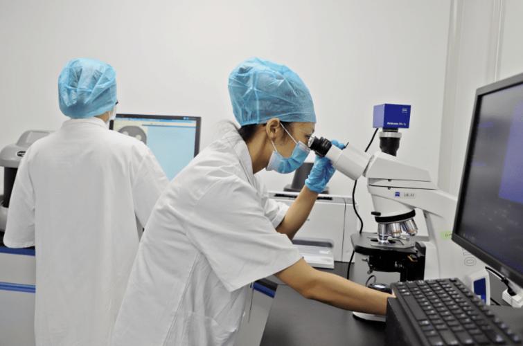 检验人员进行微生物检验观察.