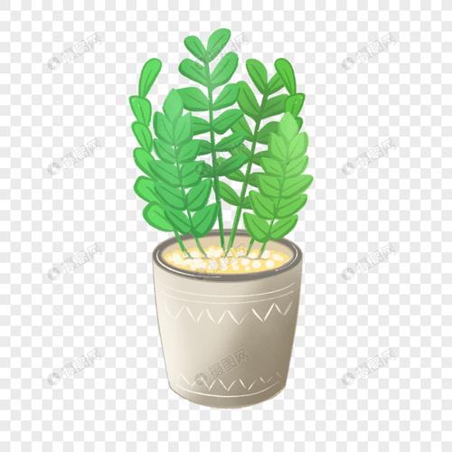 免抠元素 手绘/卡通元素 清新夏天植物金钱树盆栽.