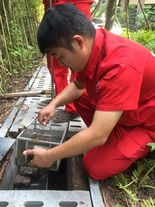 严白海查看蛇笼展开捕蛇行动的这群人,蛇笼,捕蛇夹,硫磺烟雾弹等