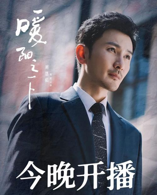 今日热映《暖阳之下》高露,蒋毅领衔主演,陈紫函,郭晓东主演的当代