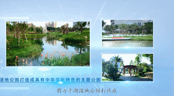 万丰湖湿地公园开园迎客!风景超美,快来打卡!(附高清视频)