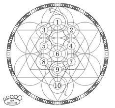 分类:七政天星转