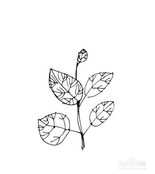 儿童简笔画-手绘树叶的简笔画法