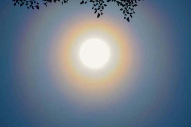 这就是  日华或  月华