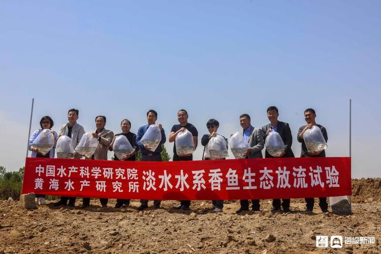 中国水产科学研究院黄海水产研究所新举措崂山仙胎鱼鱼苗首次在民间