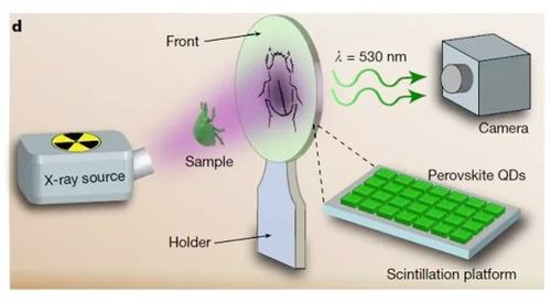 西工大科研团队发现新纳米晶闪烁体 可有效降低x光有
