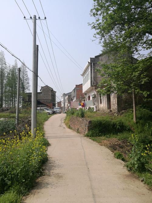 这是仙桃市胡场镇刘家场村老家门前一条不太宽敞的水泥路,过去是泥土