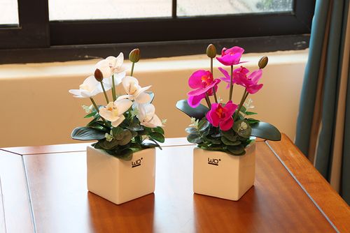 wo 高仿真pu蝴蝶兰花艺套装 现代简约桌面花会议装饰花带陶瓷花盆