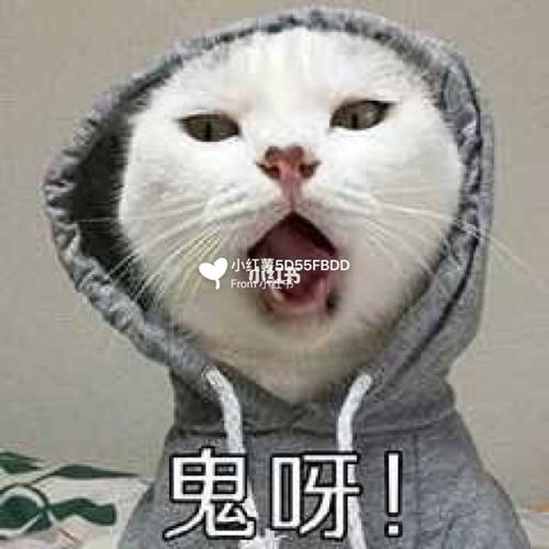 每日快乐源泉 来自我的沙雕表情包_表情包_我是表情包