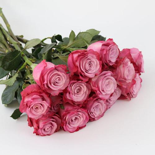 魅影玫瑰18支送2支 /扎 空运包邮