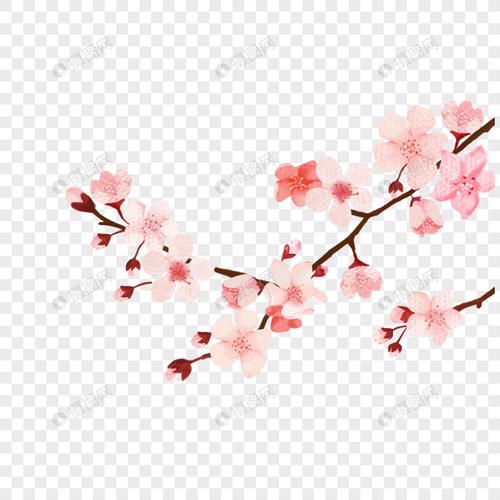 插画桃花