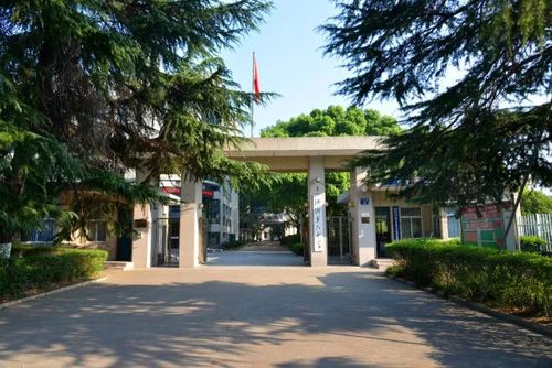 秋高气爽!跟着小布去逛逛这些美丽的桐乡校园吧